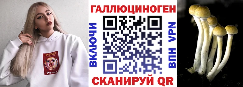 Галлюциногенные грибы Psilocybine cubensis  Купить  Маркс 